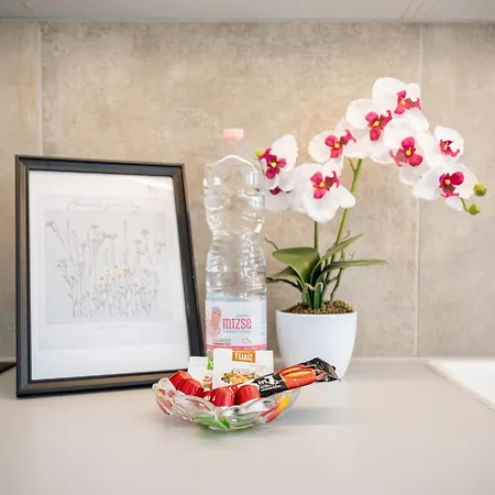 Apartman Vanilla Heights *